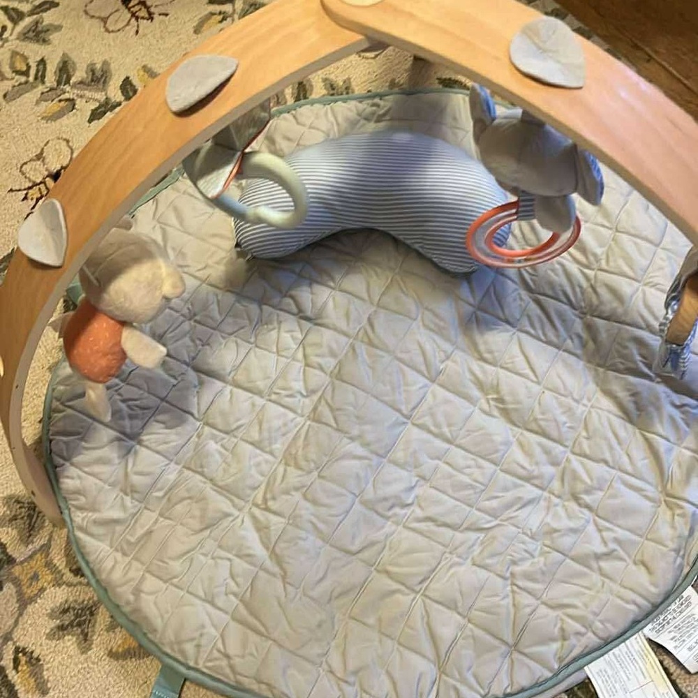 Wooden Baby Play Gym with Soft Toys